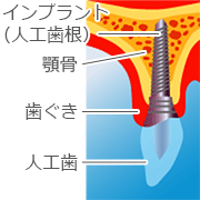 小児歯科