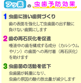 フッ素の虫歯予防効果