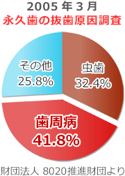 永久歯の抜歯原因調査報告