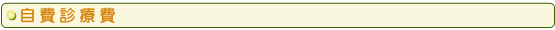 自費診療費
