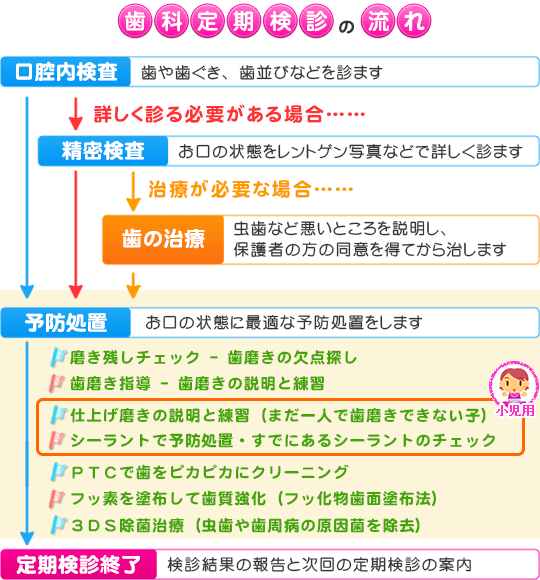 歯科定期検診の流れ